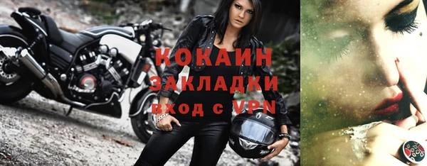 спиды Бородино