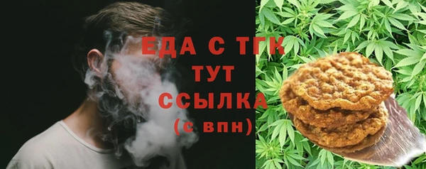 спиды Бородино