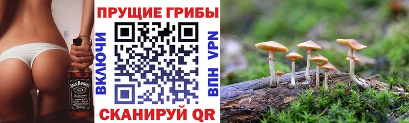 MEGA сайт  закладки  Дзержинский  площадка официальный сайт  Галлюциногенные грибы MAGIC MUSHROOMS 